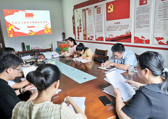 千亿体育集团(中国)股份有限公司官网党支部召开党史学习教育专题组织生活会